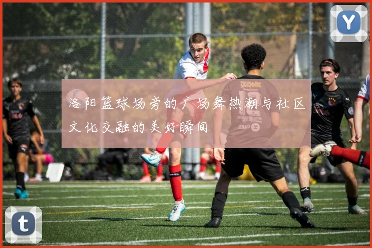 洛阳篮球场旁的广场舞热潮与社区文化交融的美好瞬间