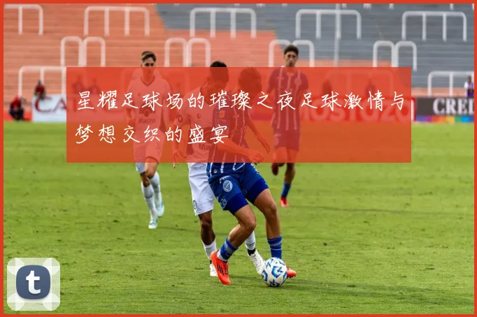 星耀足球场的璀璨之夜足球激情与梦想交织的盛宴